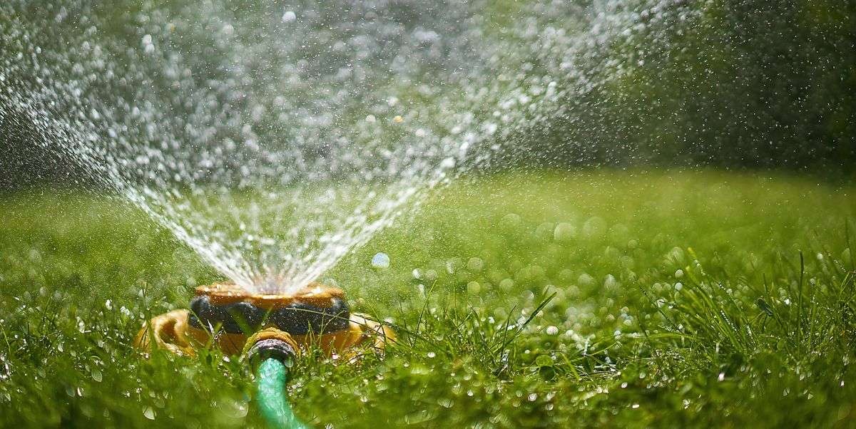 Best Time to Water Grass