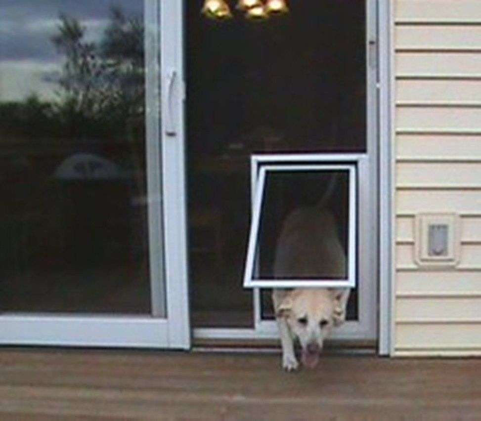 Doggy Door In Screen Door  Knobs Ideas Site