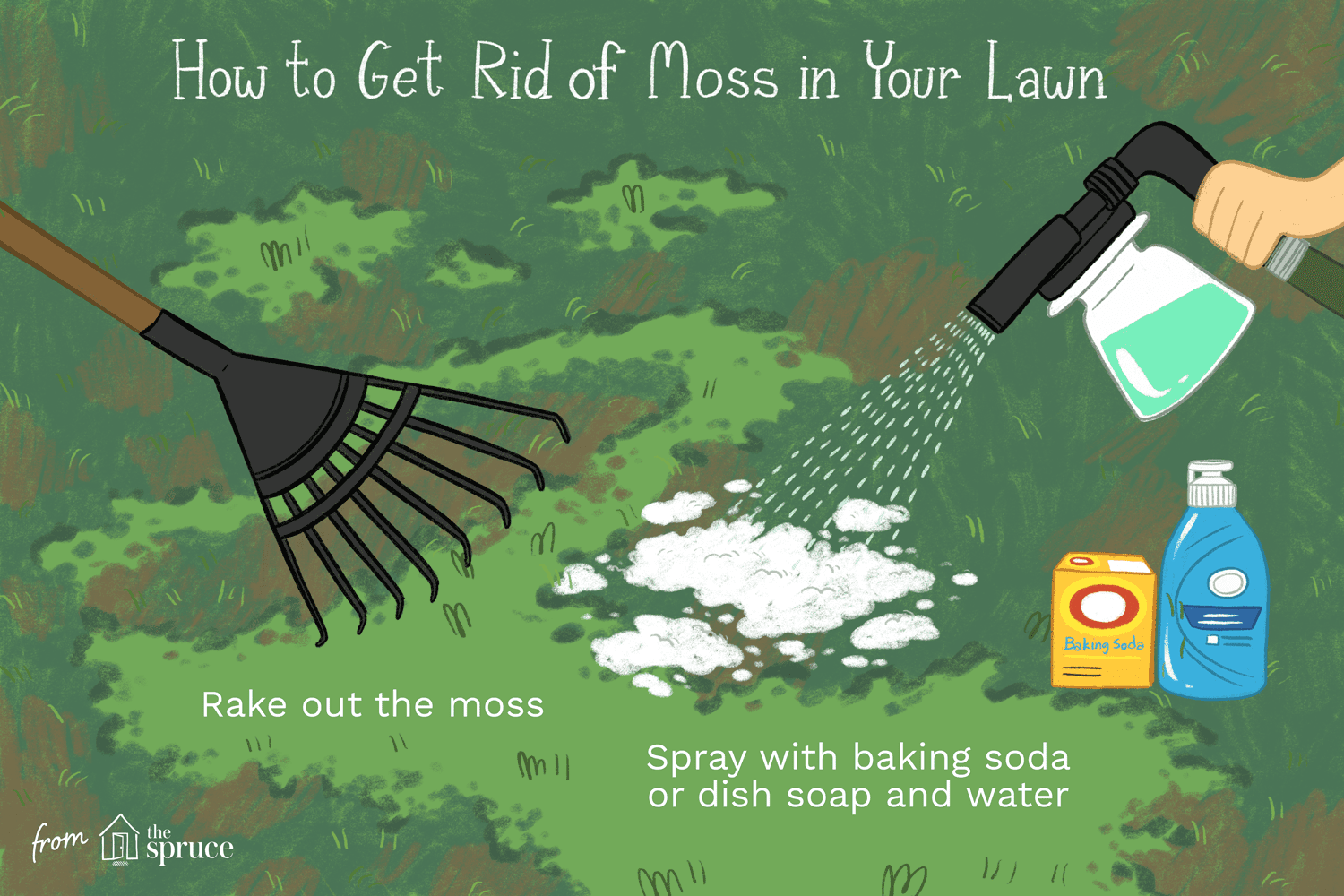 How to Get Rid of Moss in Lawns