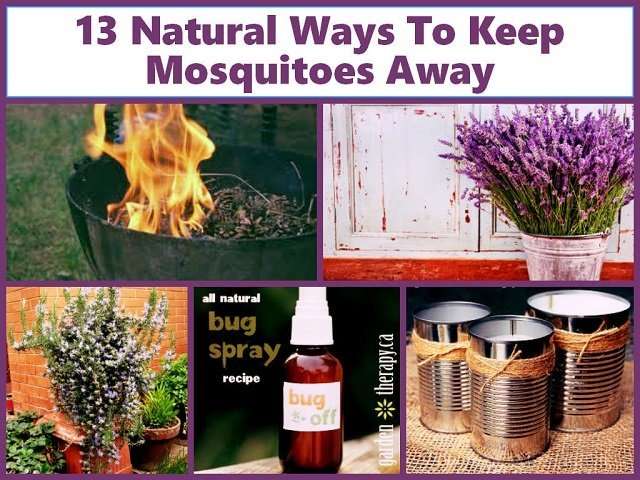13 Natural Ways To Keep Mosquitoes Away