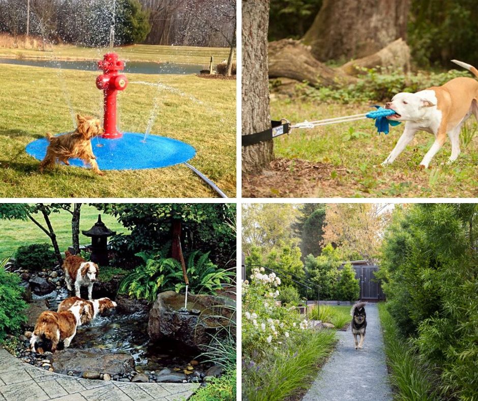15 Backyard Landscaping Ideas That Will Give Your Dogs Happy Barks