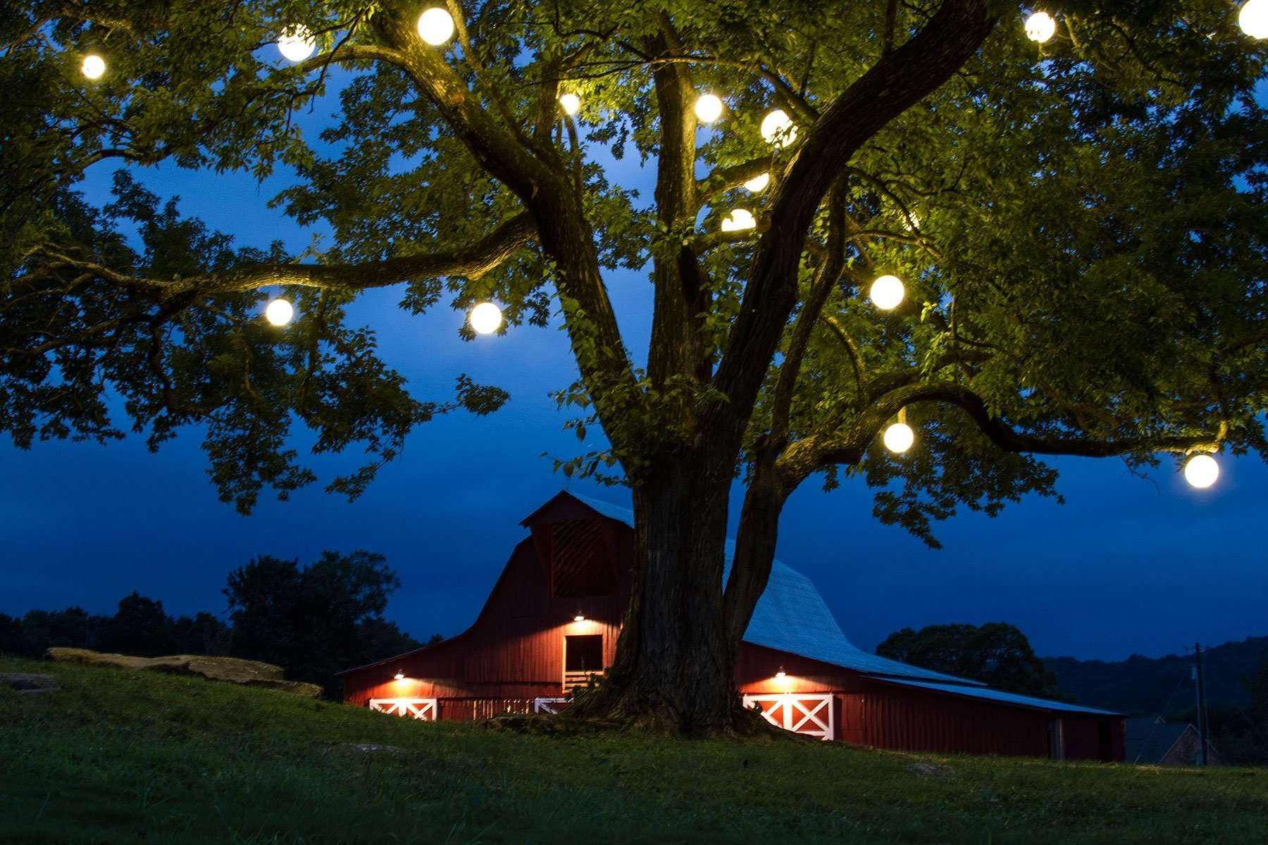 15 Best of Hanging Lights on an Outdoor Tree