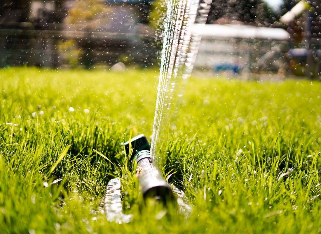 6 Things to Remember about Lawn Watering Schedule
