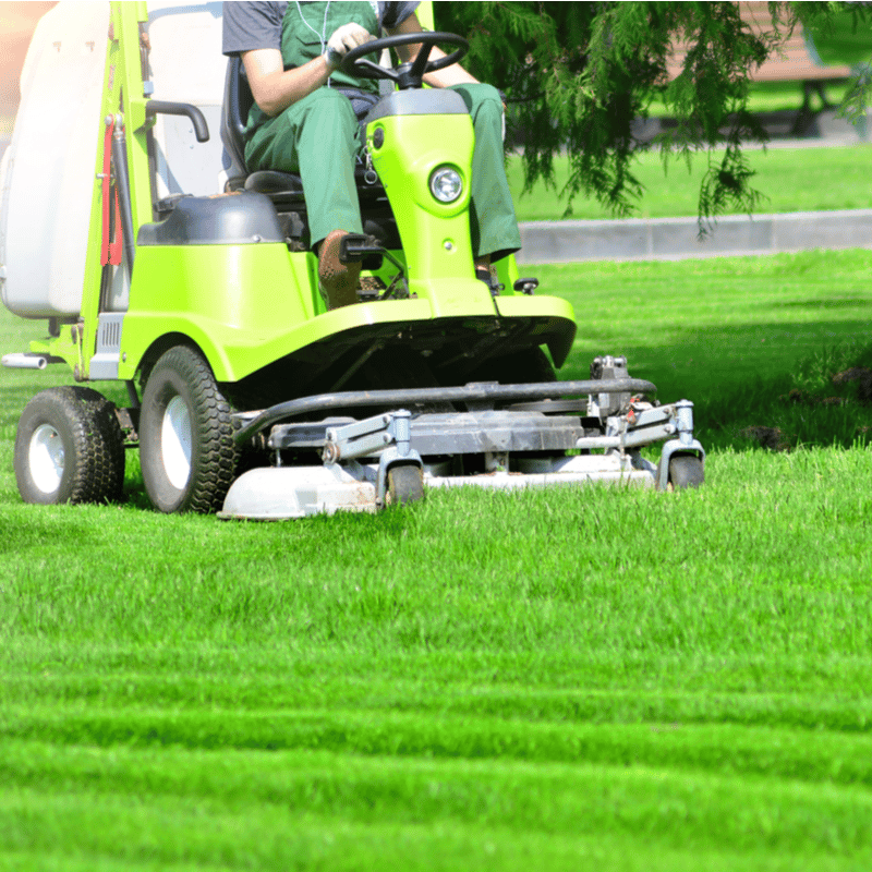 7 Reasons To Hire Mowing Services This Summer