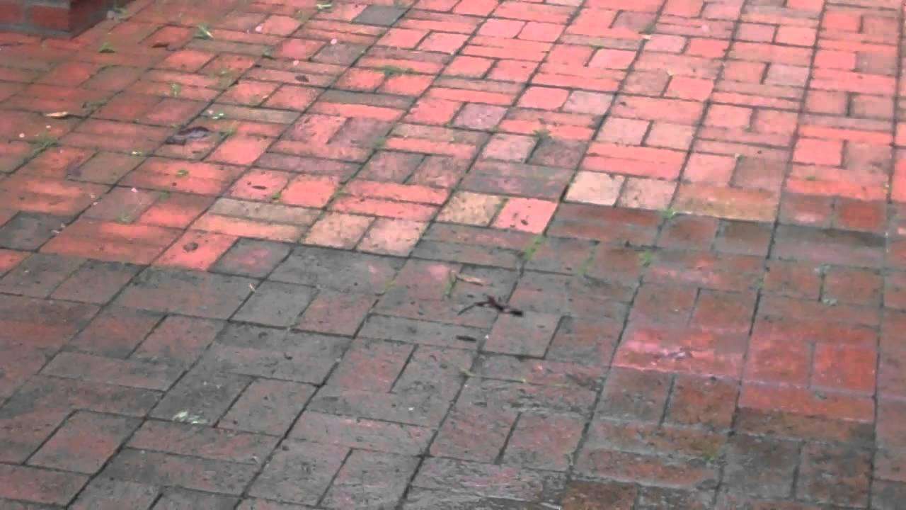 Brick patio cleaning scarsdale mold mildew removal service ...