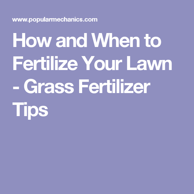 Consider This the Ultimate Guide to Fertilizing Your Lawn