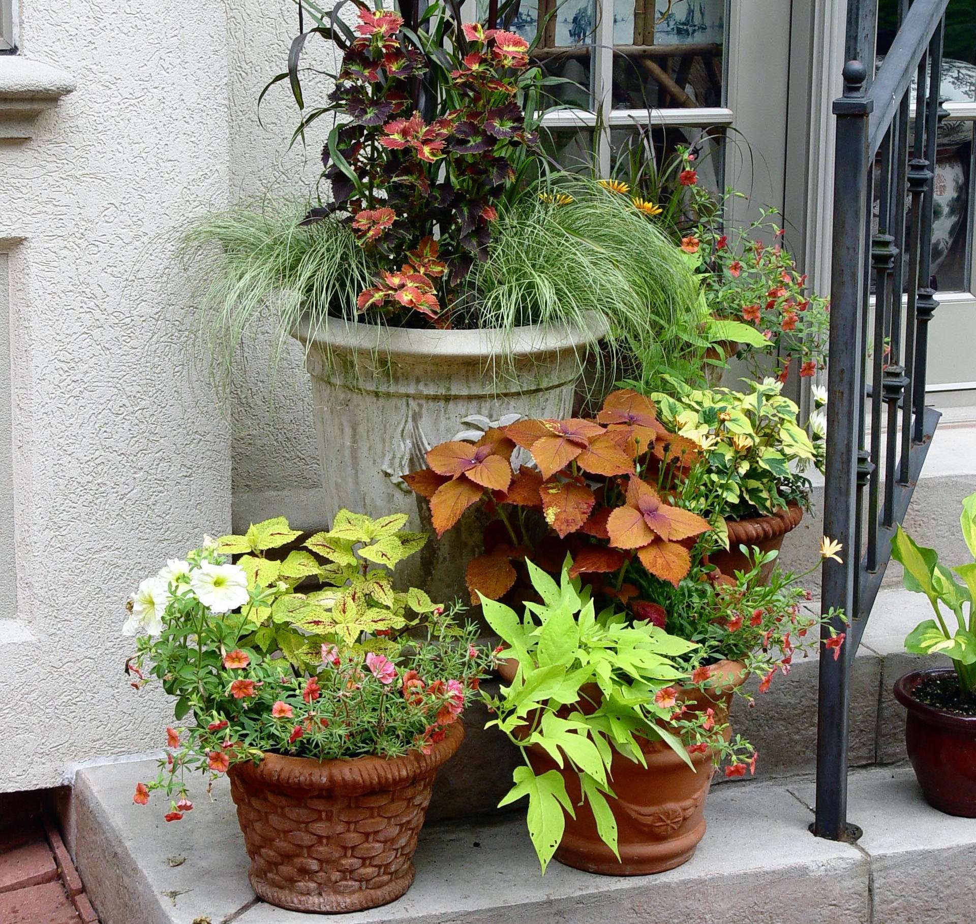 How To Arrange Potted Plants On A Patio Lovemypatioclub Com - How To Arrange Plants On Patio