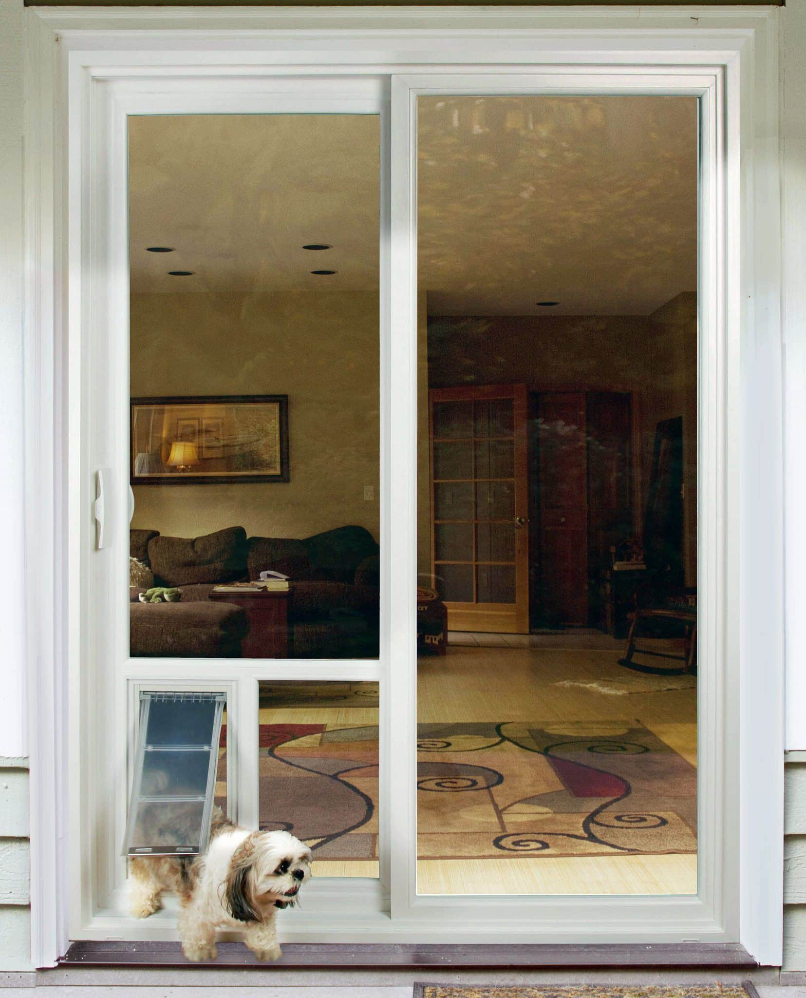 door pet door idea for glass door in natural wood frame door within dog ...