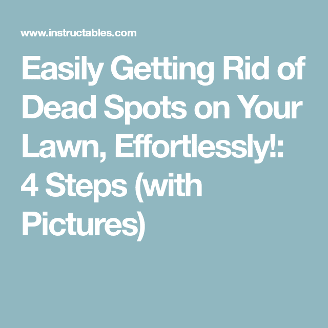 Easily Getting Rid of Dead Spots on Your Lawn, Effortlessly!