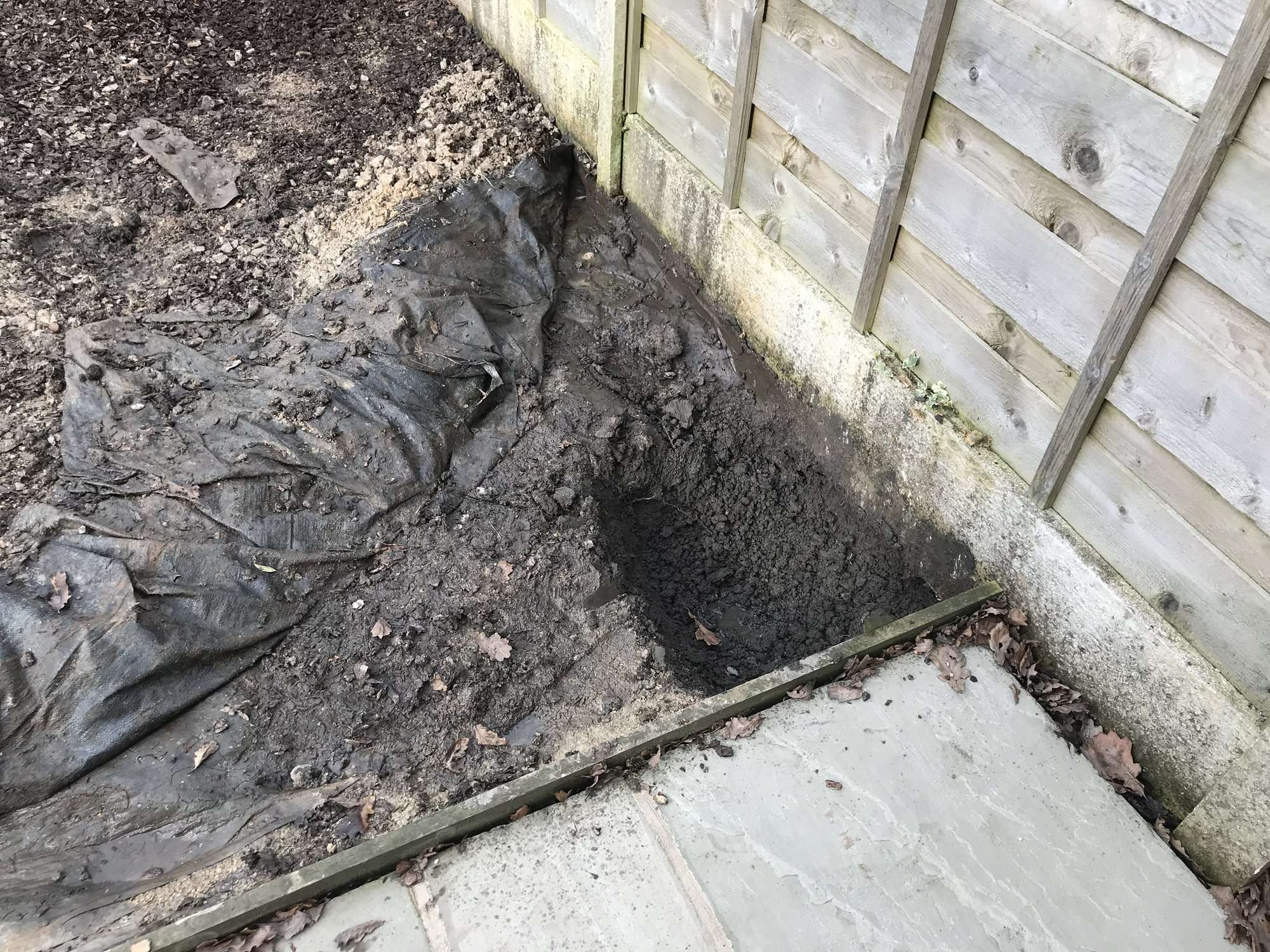 Garden drainage HELP! Please. — BBC Gardeners
