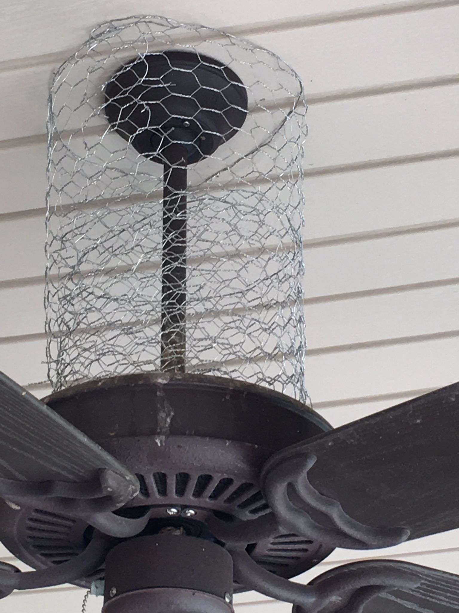 How I keep birds off of my porch: Chicken wire is a ...