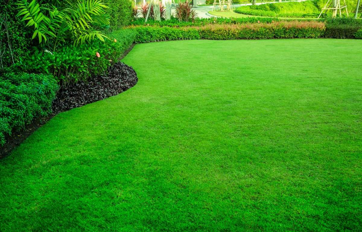 How Much Should Lawn Care Cost?