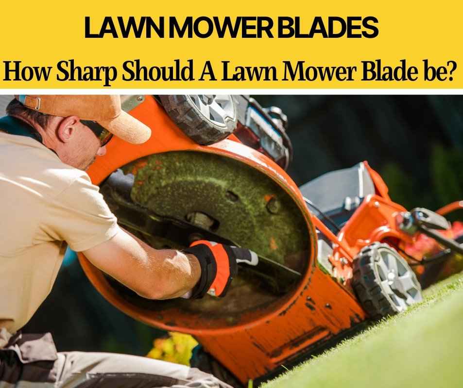 How Sharp Should a Lawn Mower Blade Be (For a Great Cut!)