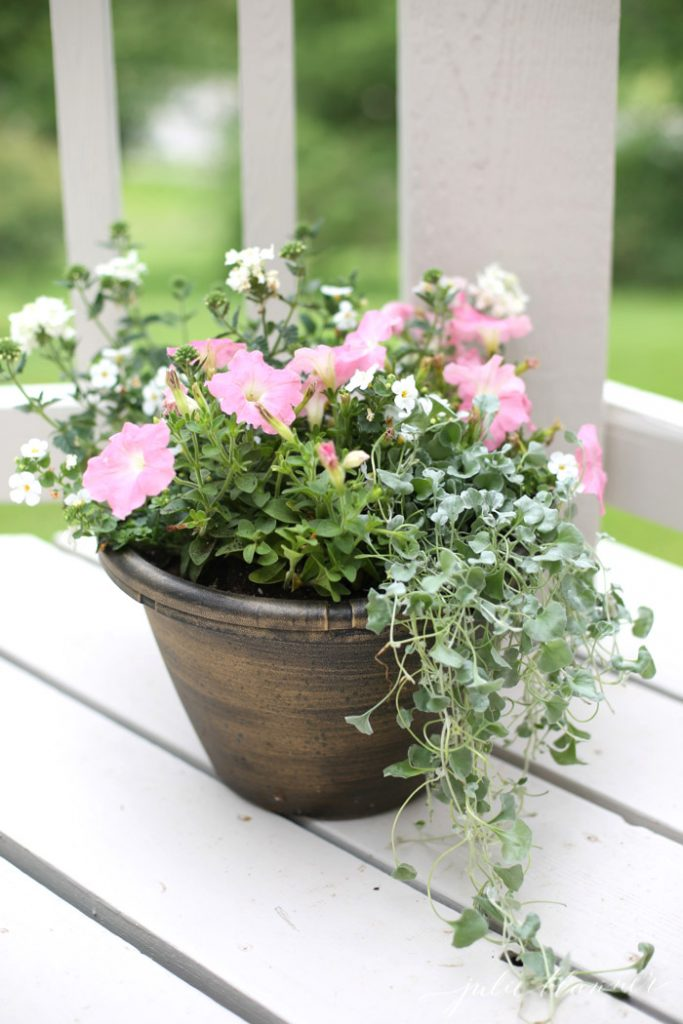 How to Arrange Garden Containers in 2020
