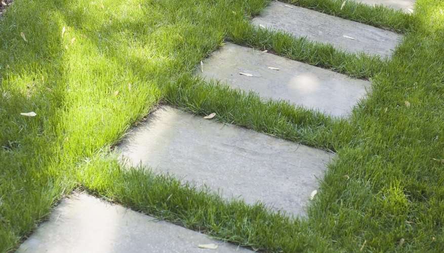 How to Clean a Concrete Pathway Without Harming the ...