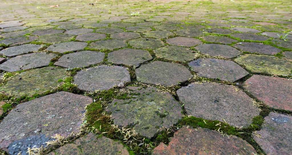 How To Clean Moss Off Of Patio Pavers â Patio Ideas