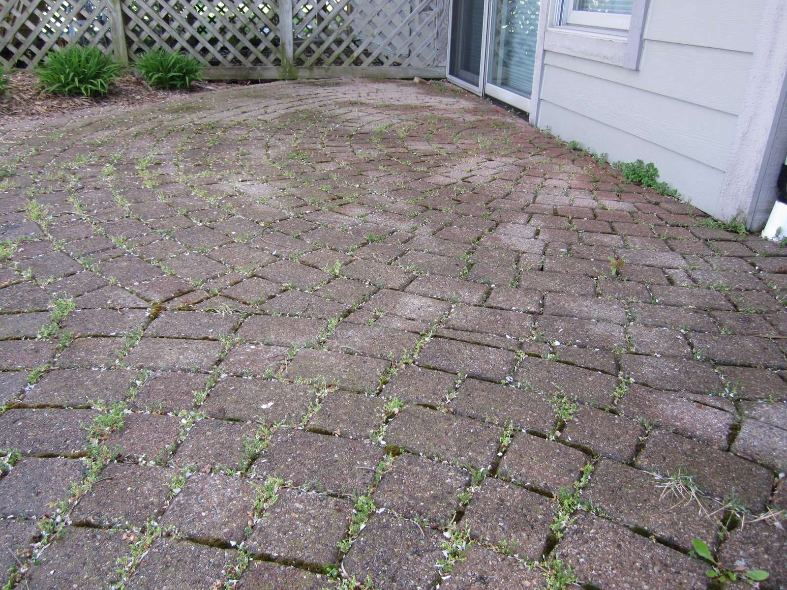 How To Clean Patio Pavers