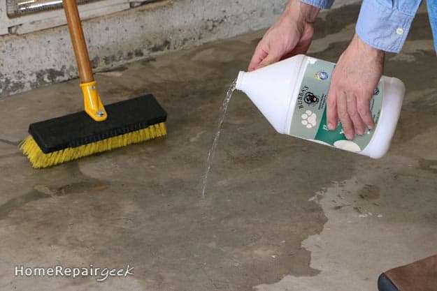 How to Get Pet Urine Odor off Concrete: 3 Easy Steps!