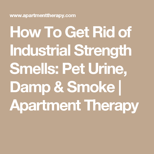 How To Get Rid of Industrial Strength Smells: Pet Urine ...