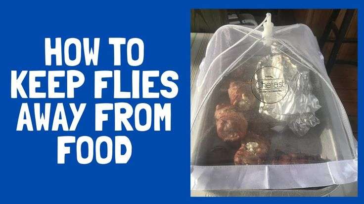 How to Keep Flies Away from Food