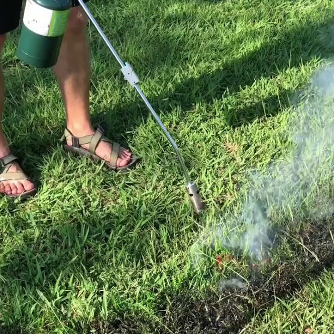 How to Kill Weeds With a Weed Burner