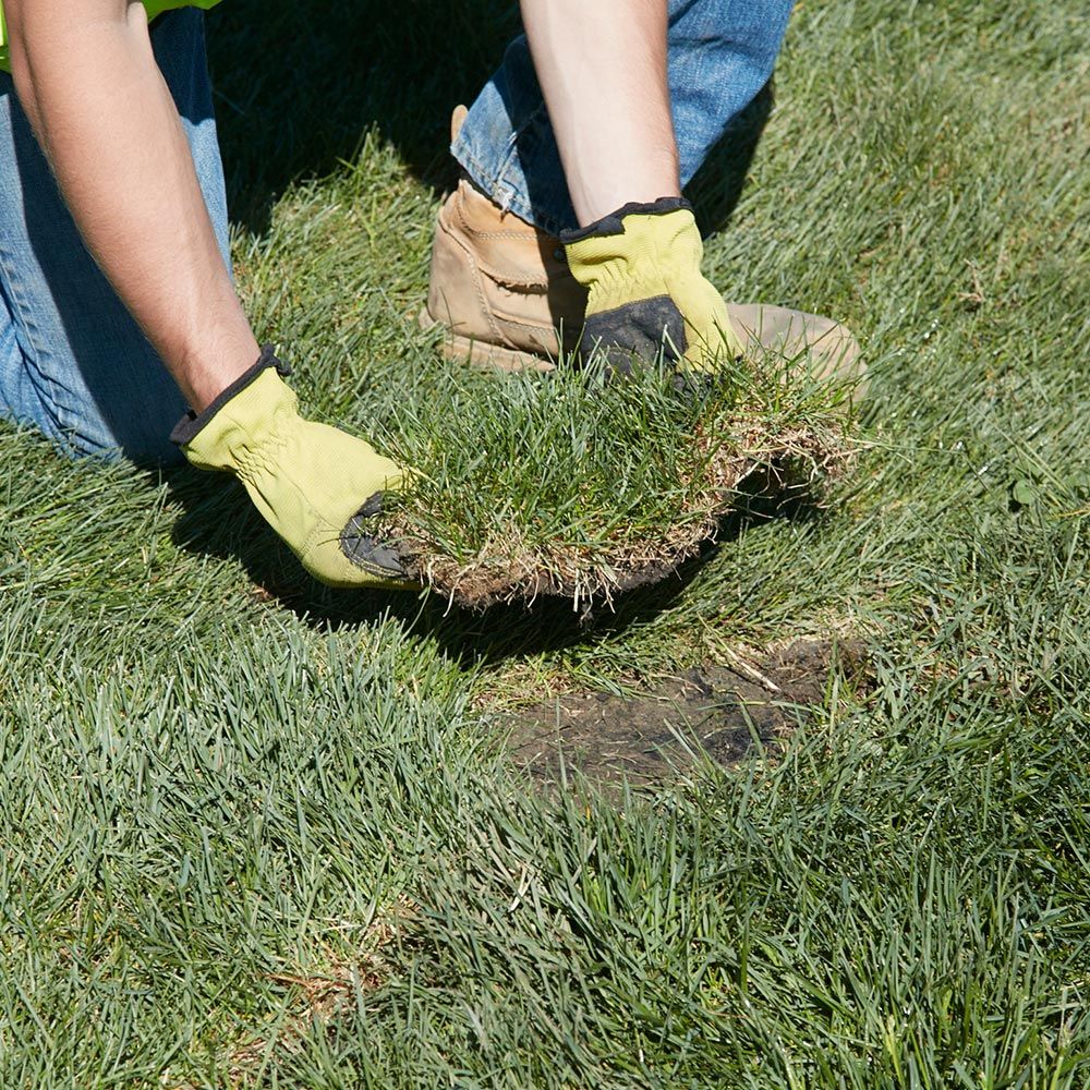 How To Lay Down Sod Over Existing Lawn / Can Sod be Installed Upon ...