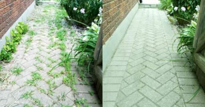 How To Naturally Remove Weeds Growing Between Patio Stones ...