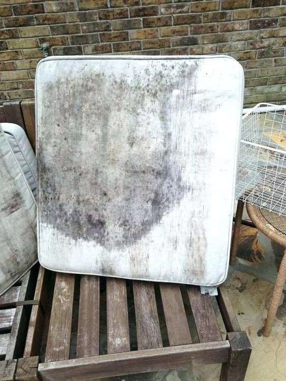 How To Clean Patio Cushions With Mildew, Remove Mold From Outdoor Furniture