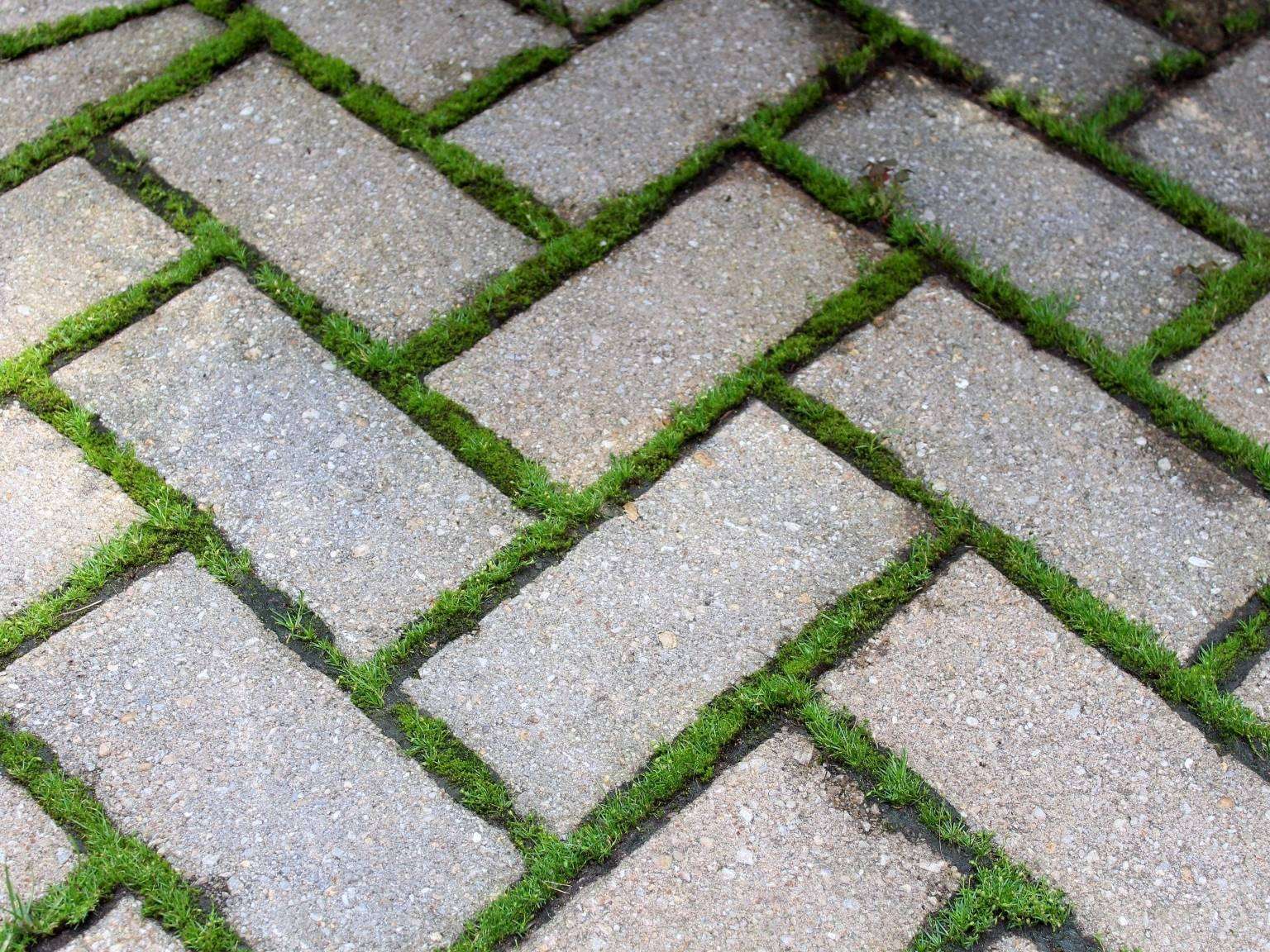 How To Remove Moss From Pavers