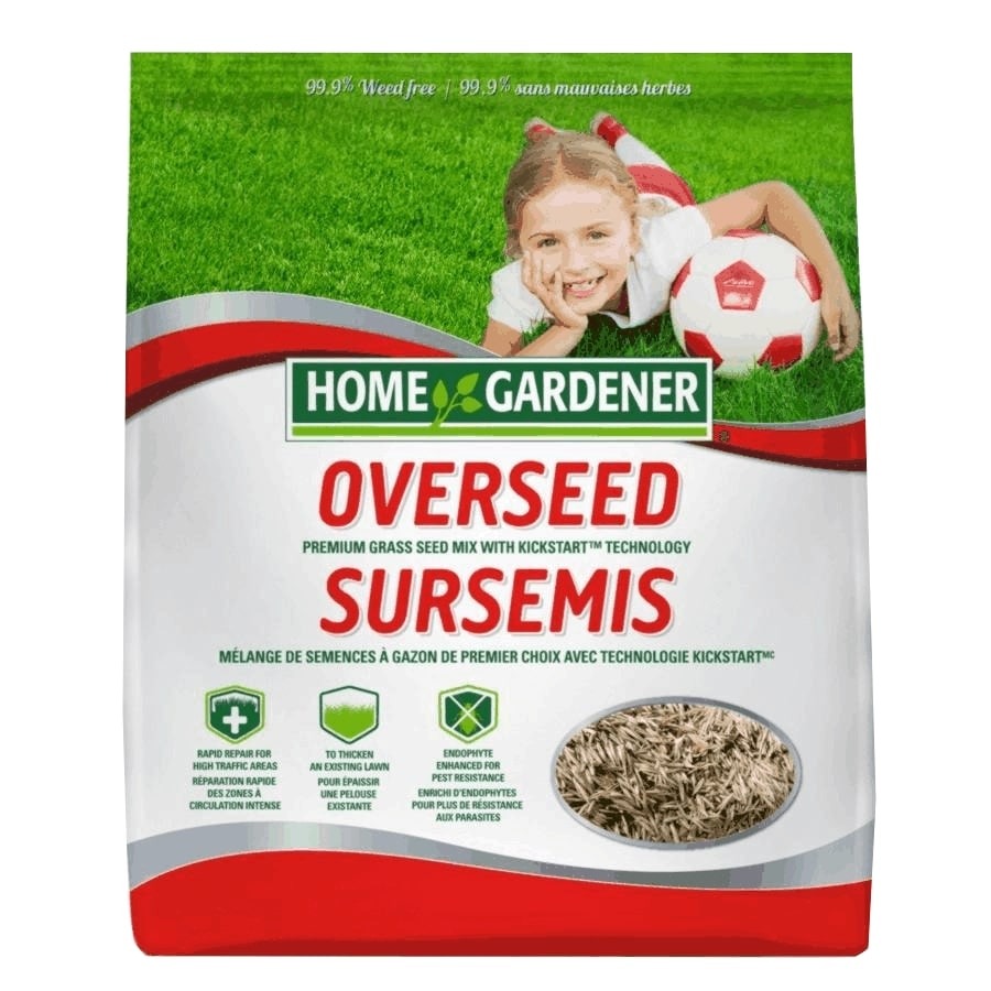 How To Water Lawn After Overseeding