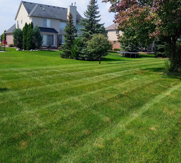 Lawn Mowing Services in Macomb, Chesterfield, &  Shelby, MI