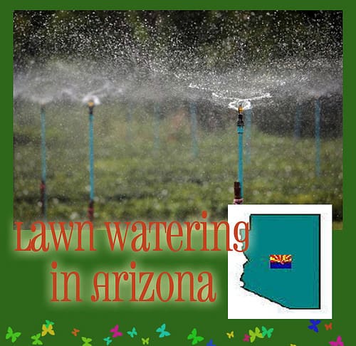 Lawn Watering in Arizona