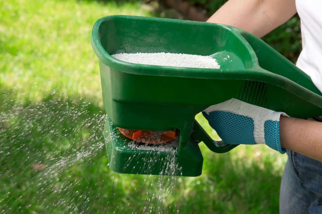 Learn How to Fertilize a Lawn