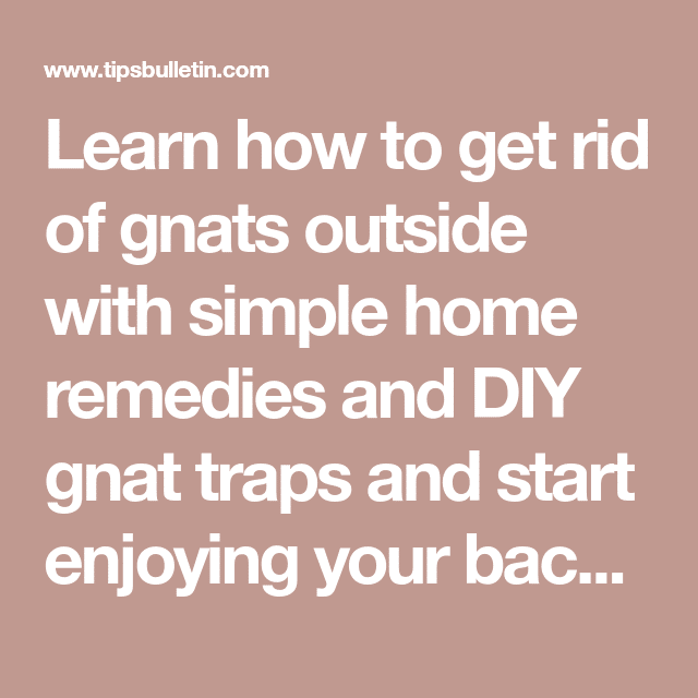 Learn how to get rid of gnats outside with simple home remedies and DIY ...