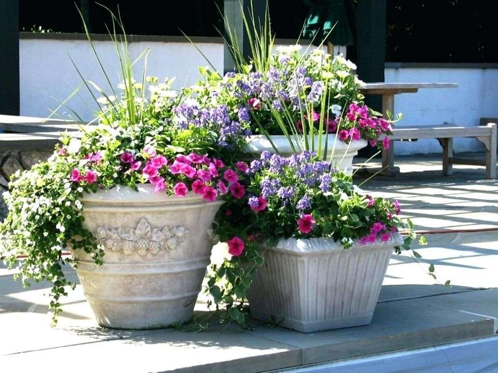 Outdoor Potted Flower Arrangement Ideas Large Planter ...