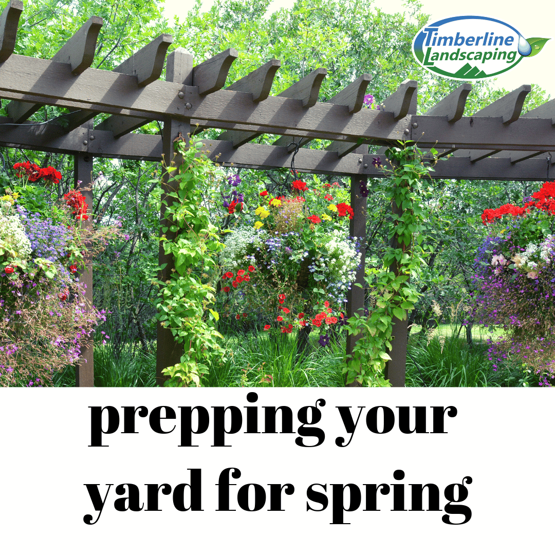 Preparing Your Yard for Spring