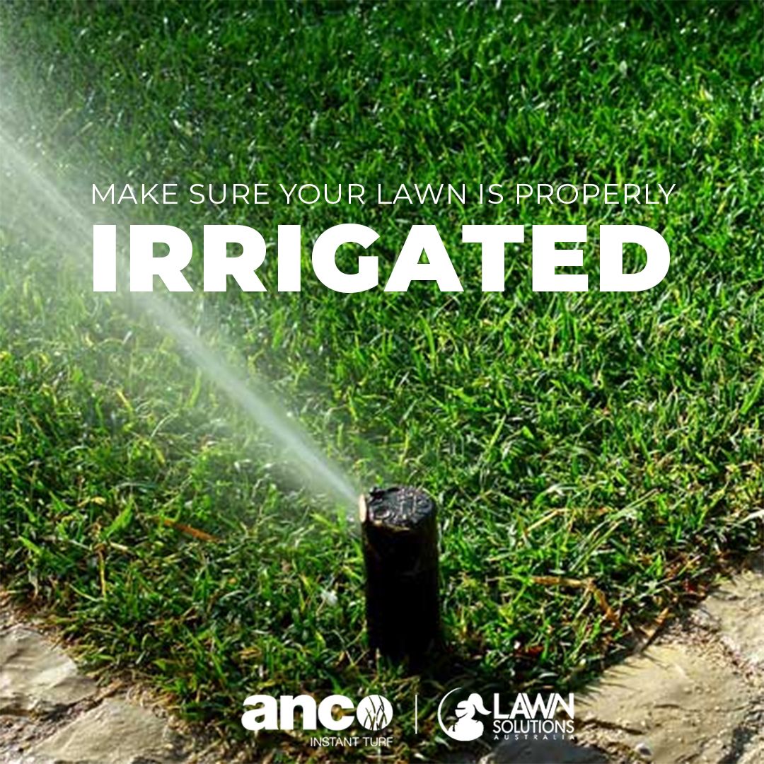 Regular watering of your lawn is important during the summer and spring ...