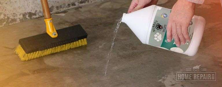 Remove Dog and Cat Urine Odor from Concrete: 3 Easy Steps ...