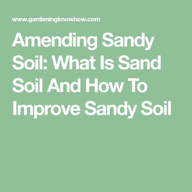 Sandy Soil Amendments: How To Do Sandy Soil Improvements