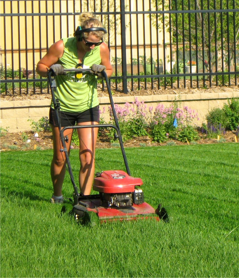 Summer Lawn Care: Mowing, Weeds &  Water