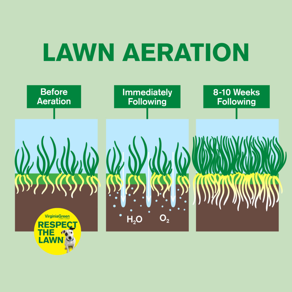 The Best Time to Aerate Your Lawn