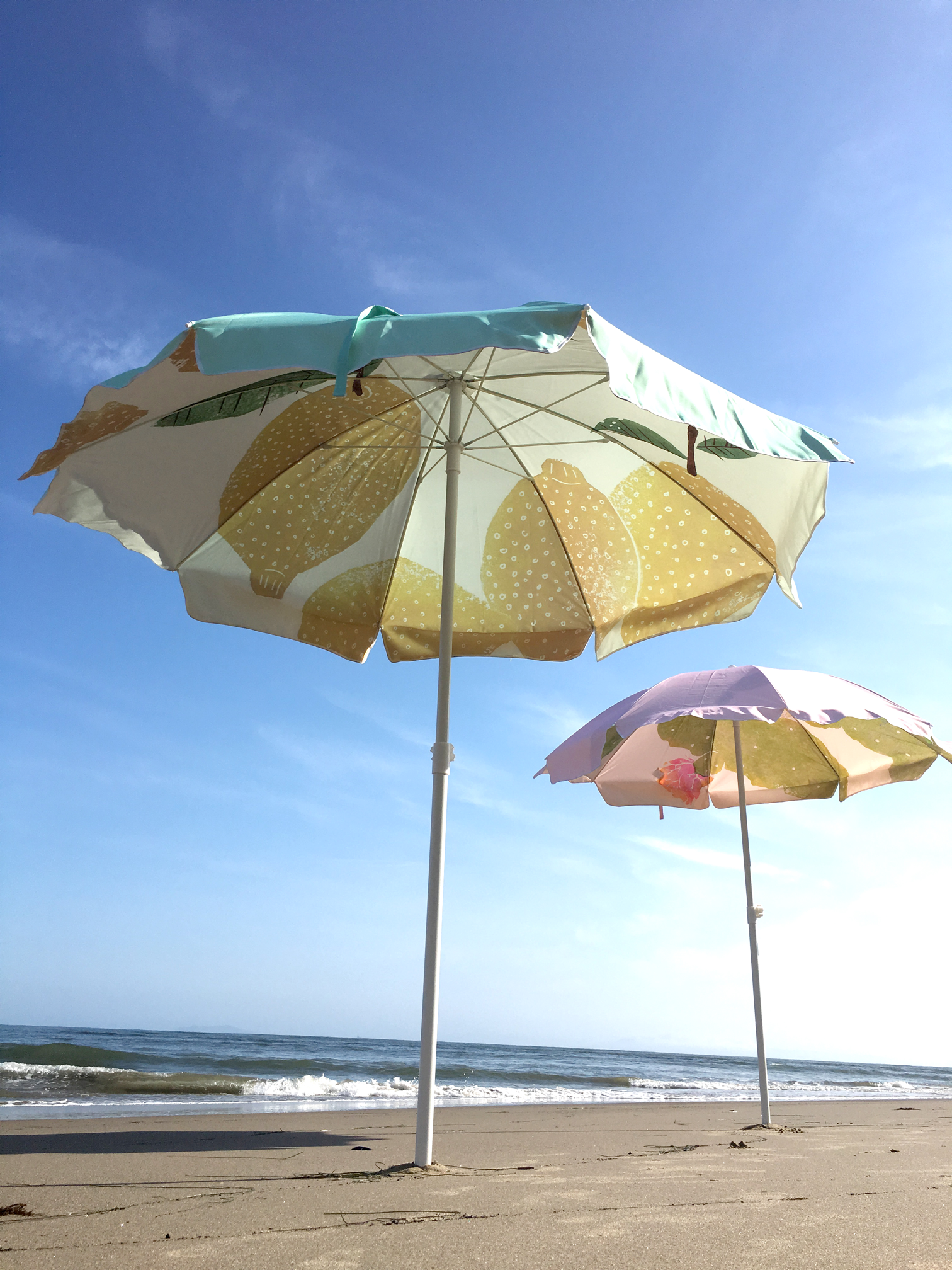 The Family Beach Umbrella