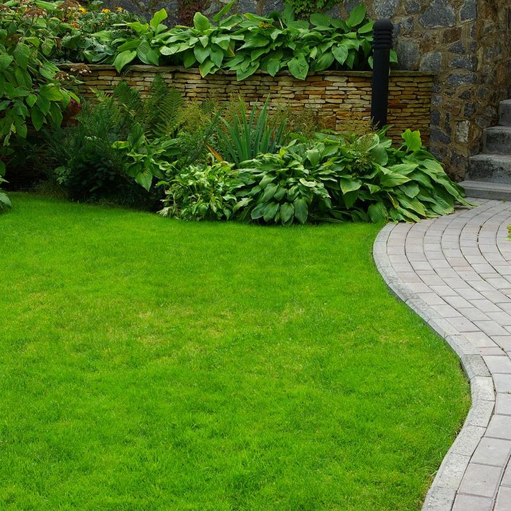 This guide explains how to lay sod in your front or backyard. Refresh ...