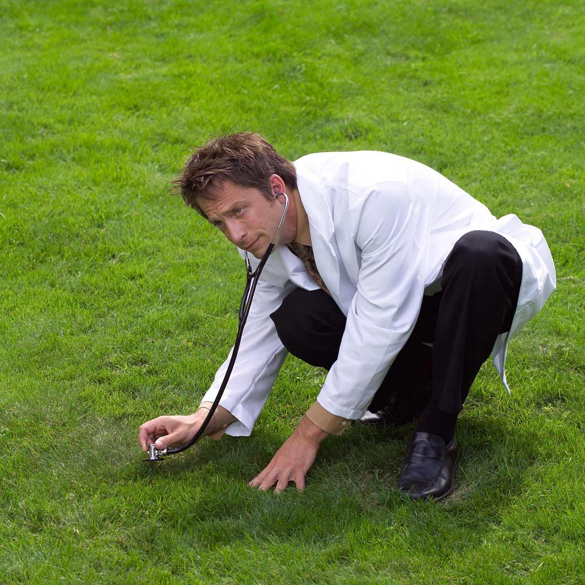 Top 10 Lawn Care Tips