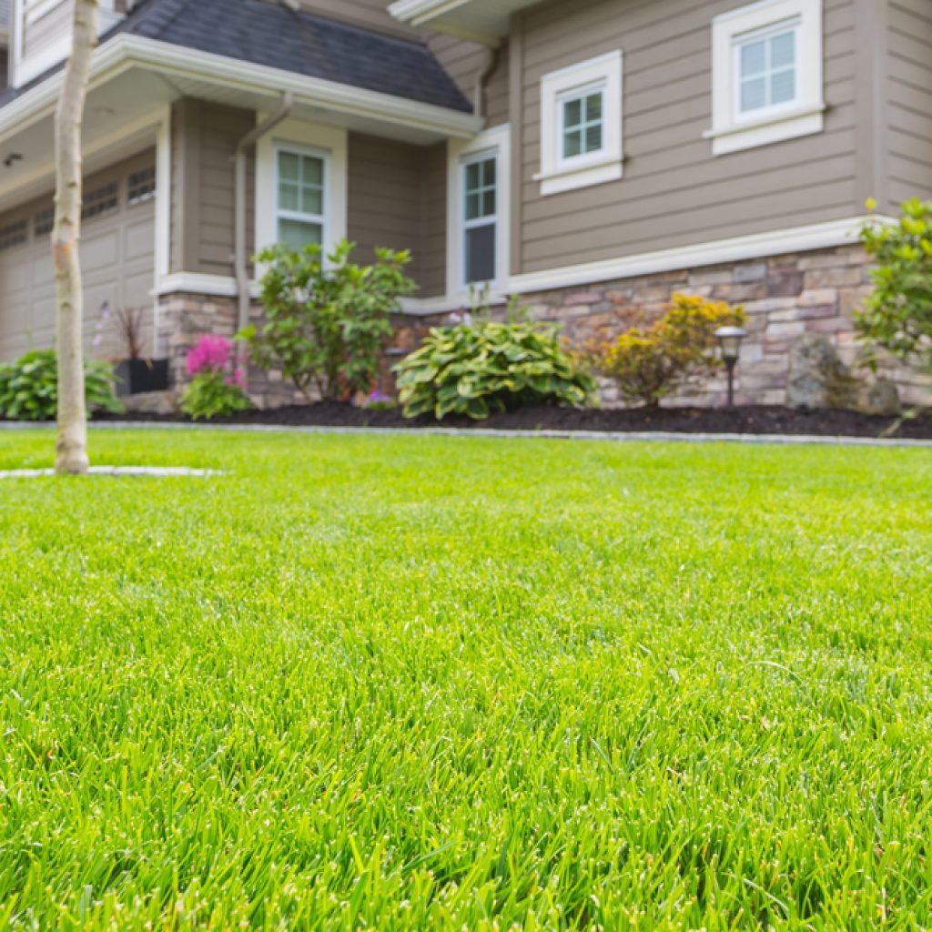 Top 3 Benefits of Adding Synthetic Grass to Your Home