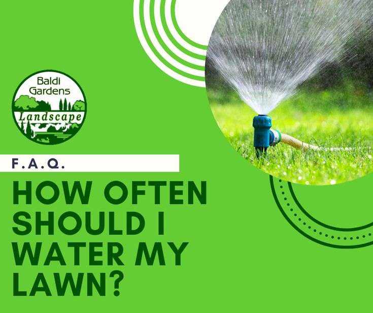 What Time Should You Water Your Lawn