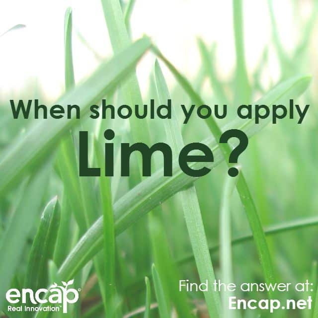 When should you apply LIME? Find the answer at Encap.net! #Gardening # ...
