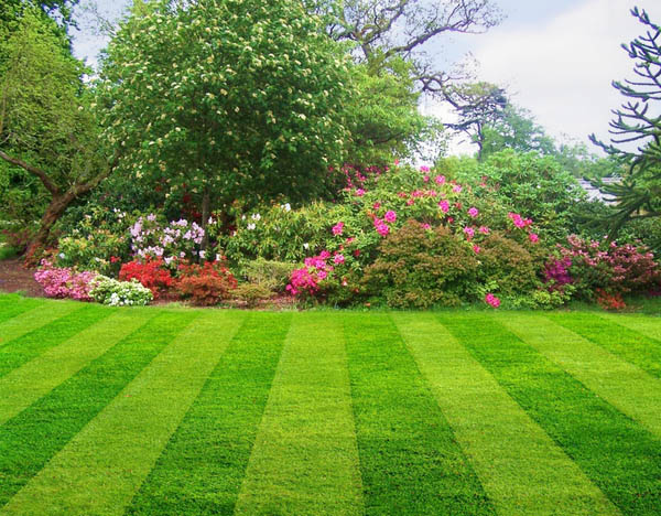 Your Neighbourhood REALTORÂ®: Preparing Your Lawn for Spring